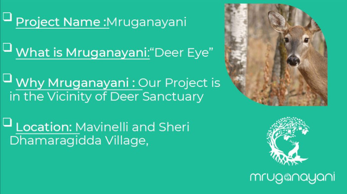 Mruganayani, Sangareddy - Farm Land Plots