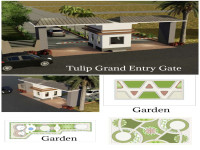 Tulip Grand