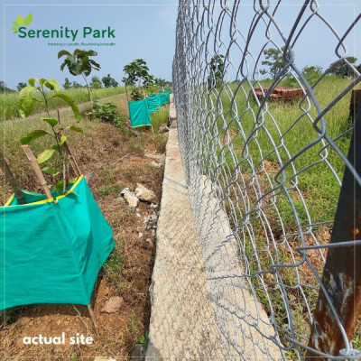 Serenity Park, Thane - Farmhouse Plots