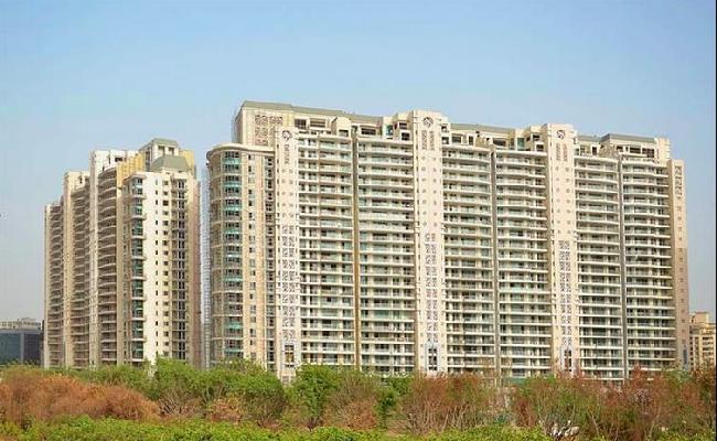 DLF Crest, Gurgaon - Residential Apartments