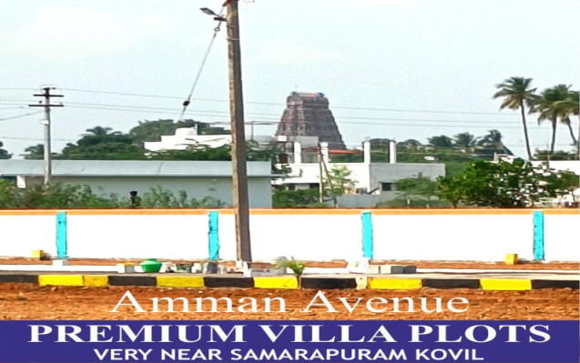 Amman Avenue, Tiruchirappalli - Residential Plots