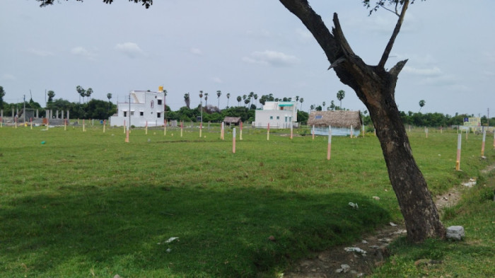 Paradise City, Chennai - Residential Plots