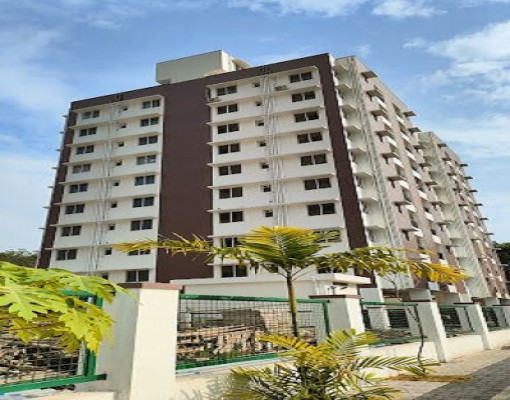 Confident Freesia, Kochi - 2 BHK Apartment