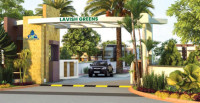 E3 Lavish Green