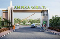 Ambika Green