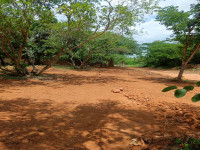 Jain Farms