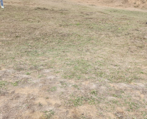 North Park, Patna - Residential Plots