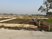 Mauli Town 25