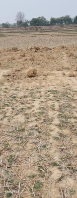 Hills Court, Ranchi - Residential Plots