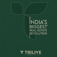Trilive