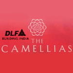 DLF The Camellias