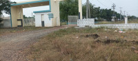 Divine Homes