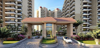 Woodland Heights