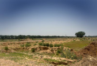 Nobel Economic Township