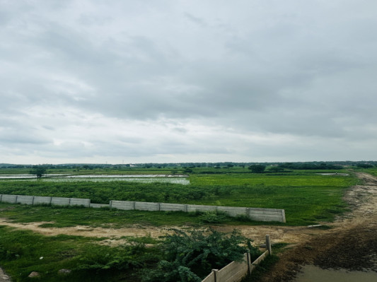Pine Valley Farmhouse, Gurgaon - Farm Land