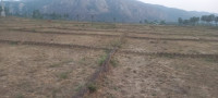 Omkar Vatika