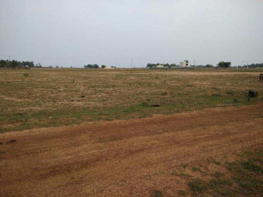 Sree Padmanabha Avenue, Chennai - Residential Plots