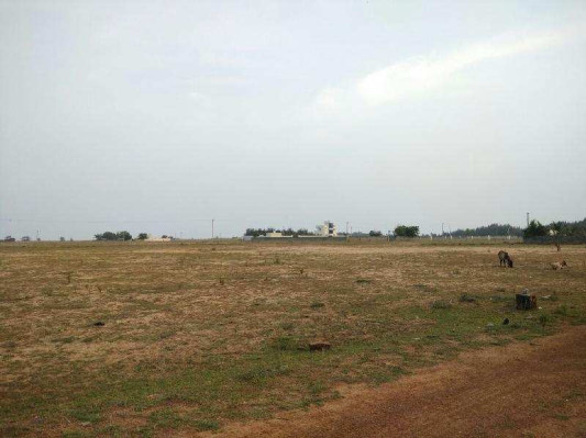 Sree Padmanabha Avenue, Chennai - Residential Plots