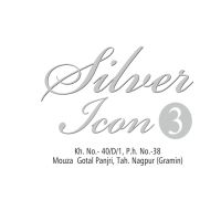 Silver Icon 3
