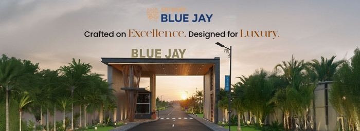 Blue Jay, Coimbatore - Residential Plots