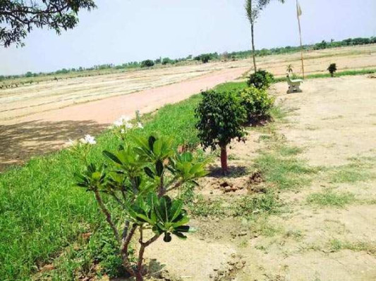 Urbane Emerald, Hyderabad - Residential Plots