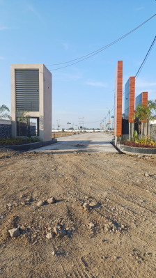 Kanak Greens, Indore - Residential Plots