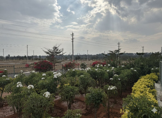 Saha Fortune, Mysore - Residential Plots