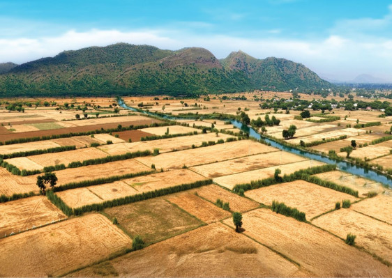 Corridor Assets, Alwar - Farm House / Plot