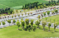 White Avenue