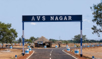 AVS AVENUE