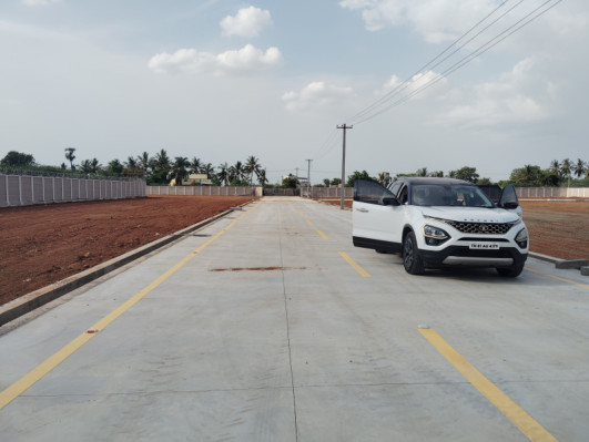 Vsj Sterling Avenue, Tiruchirappalli - Residential Plots
