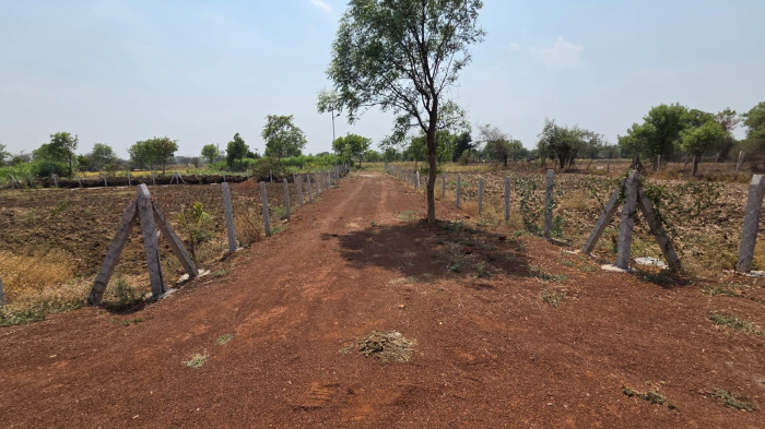 Anvita Farm, Raipur - Farm House / Plot