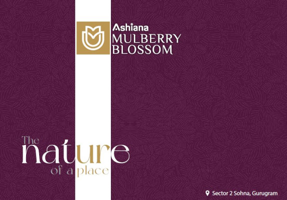 Ashiana Mulberry Blossom, Gurgaon - 2/3 BHK Residences