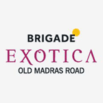 Brigade Exotica