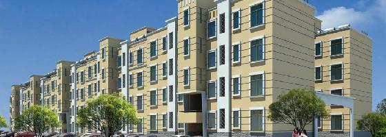 Brigade Meadows Value Homes