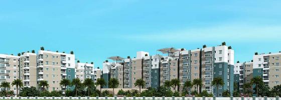 Palm Riviera