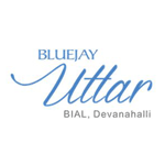 Bluejay Uttar