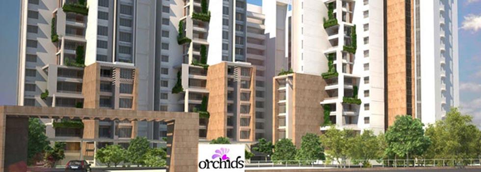 Orchids, Bangalore - 2,3 and 4 BHK Luxury Apartments