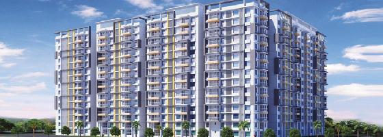MK Gold Coast