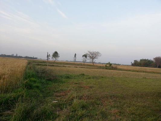 Subhaalaya, Gorakhpur - Residential Lands