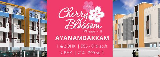 Cherry Blossom Phase II
