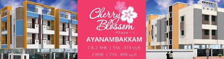 Cherry Blossom Phase II