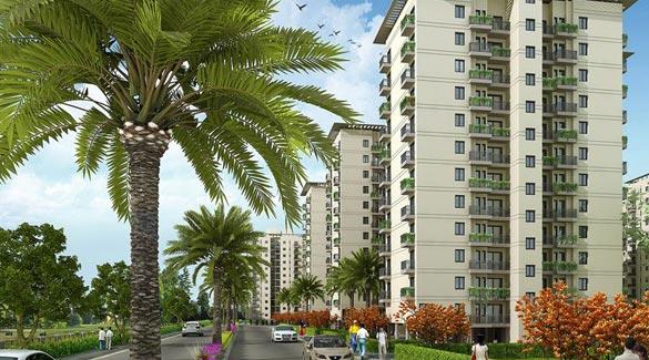 DLF Maiden Heights, Bangalore - Residential Apartments