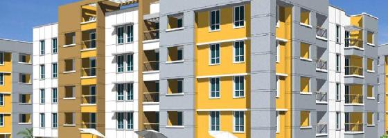Ongoing Projects