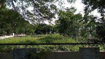 1000 Sq. Yards Residential Plot for Sale in Shela, Ahmedabad