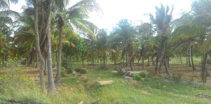 Agricultural Land 30 Ares for Sale in
