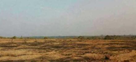  Industrial Land for Sale in Roha, Raigad
