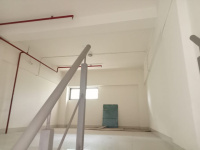  Warehouse for Rent in Kapurbawdi, Thane