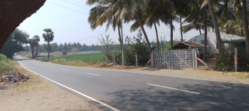  Agricultural Land for Sale in Modakurichi, Erode