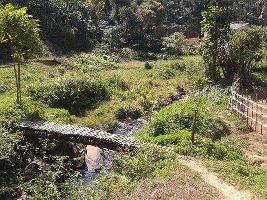  Agricultural Land for Sale in Mullayanagiri, Chikmagalur